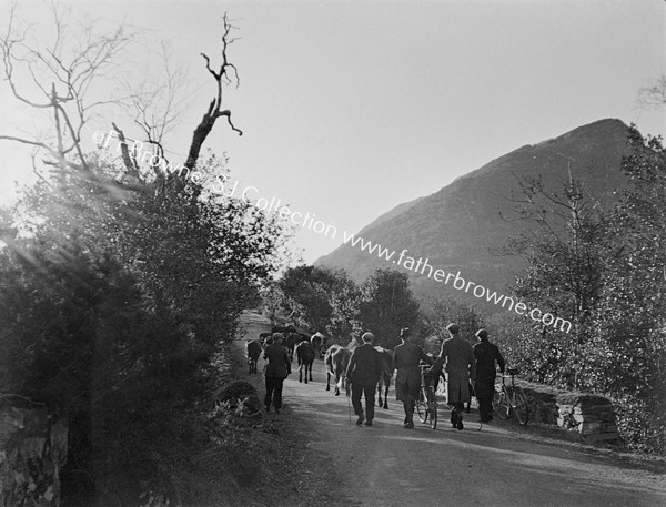 ON KENMARE ROAD NEAR EAGLES NEST